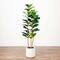 5ft. Fiddle Leaf Tree in Decorative White Planter